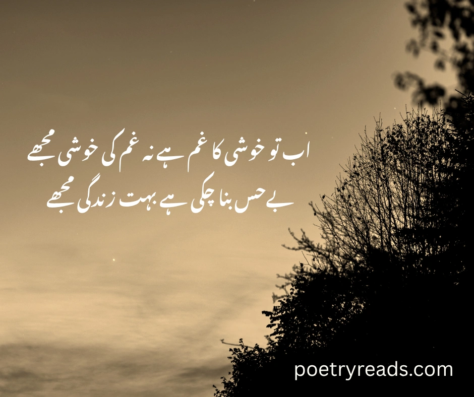 2 Lines Sad Poetry in Urdu