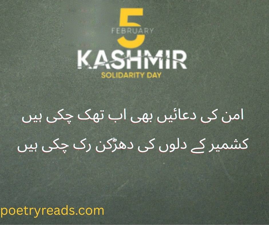 kashmir poetry in urdu