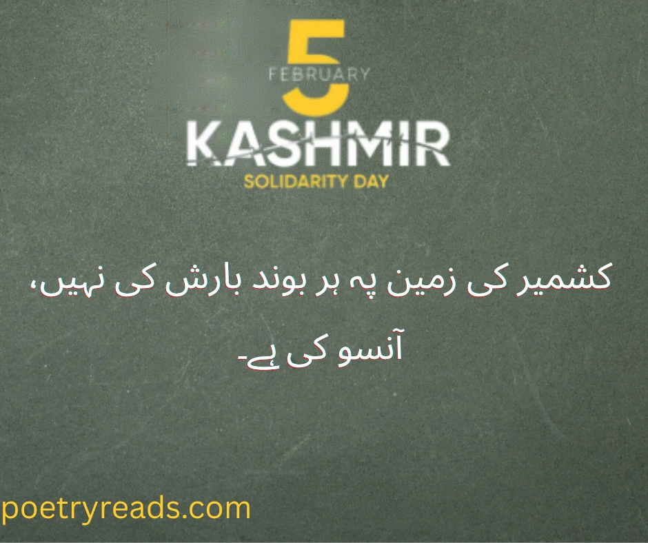 kashmir black day quotes
