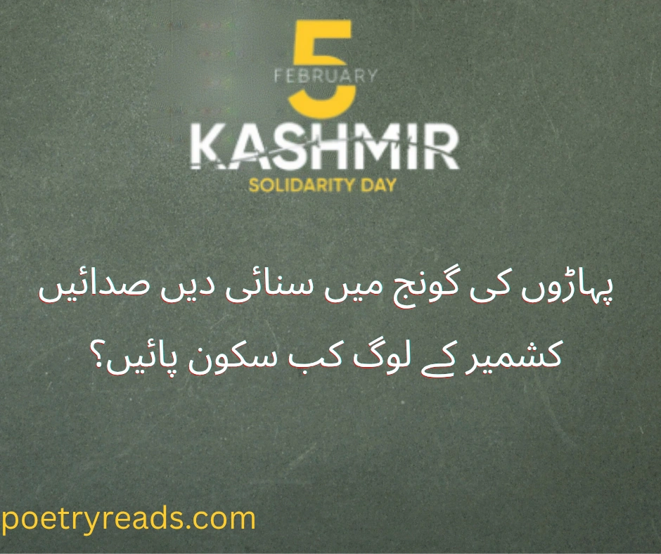kashmir day poetry in urdu