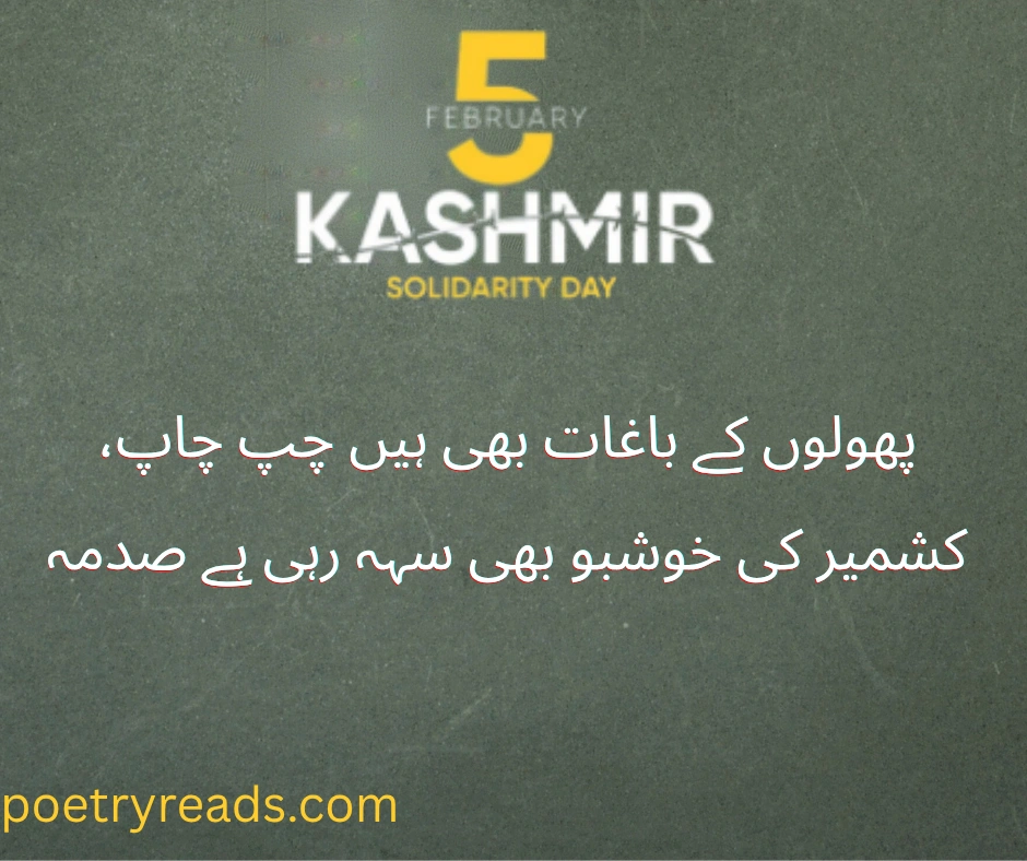 kashmir day poetry 
