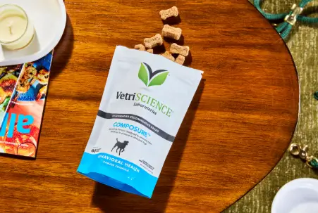 VetriScience Composure Pro Review: How This Calming Support Helps Dogs with Storm Anxiety and Travel Stress
