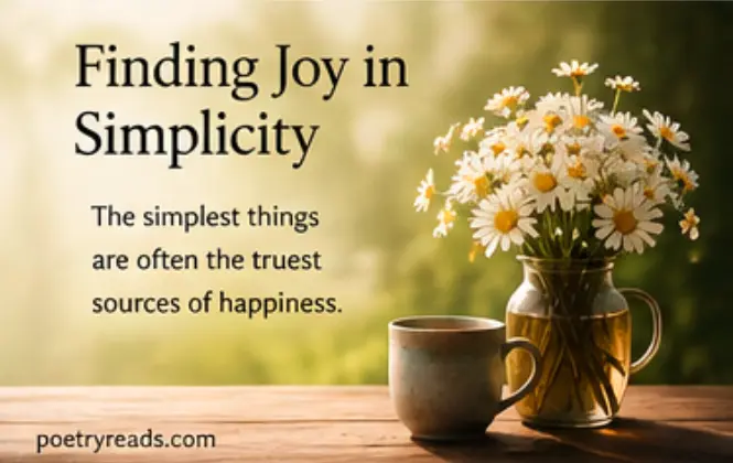 Finding Joy in Simplicity